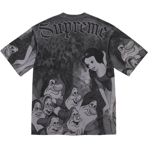 Camiseta Supreme "Snow White S/S Top" Cinza