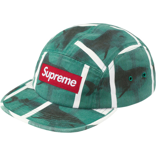 Boné Supreme x Damien Hirst "Shark" Verde